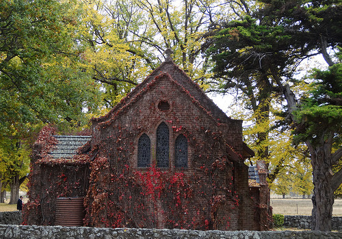 Red leaves of Virginina Creeper over the Gostwyck station Anglican Chapel constructed in 1922 near Uralla New South Wales.
